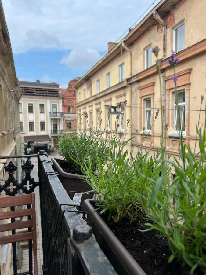 Old Town Apartment Kaunas Exterior foto